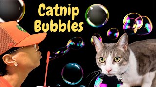 Catnip Bubbles!