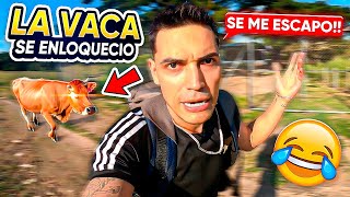 LA VACA PAULO SE ESCAPÓ! *🚨​​Emergencia en el Bunker* - TATTO VLOGS