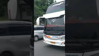 Bis LAJU PRIMA jetbus 3 | Jakarta - Bojonegoro #bismaniacommunity #videoshort