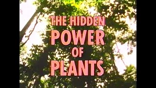 The Hidden Power of Plants (1987)