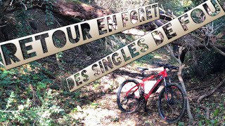 [VTT XC] RETOUR EN FORÊT, DES SINGLES DE FOU / ROCKRIDER 540