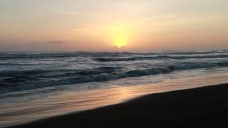 Tortuguero national park at sunrise