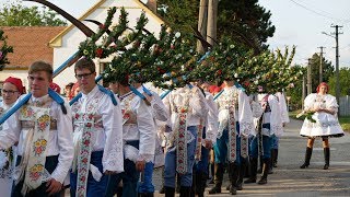 Radošovské hody a dožínky 2017