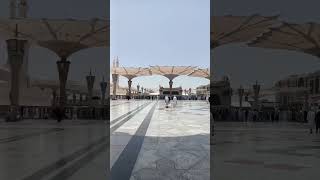 Madinah #shorts #youtubeshorts #viral