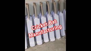 Cricket Bat Manufacturing in India | Low Cost Cricket Bat Manufacturing