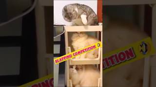 New Funny Animals Video 😂 | Funny Cat Video | #newfunnyanimalsvideos2023 #cat