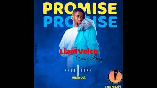 Liam Voice - Promise ( Official Audio) ft Lyrics Makers Ug (monlyrics256)