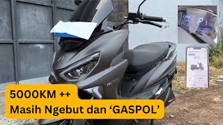 REVIEW JUJUR PAKE MOLIS POLYTRON FOX R SETELAH 5000 KM