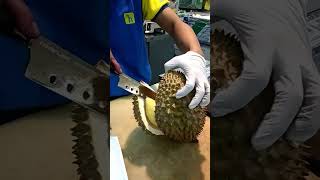 BUAH DURIAN Monthong , manis rasanya semanis senyumanmu.