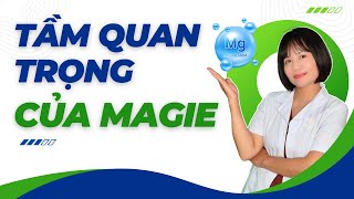 Tầm Quan Trọng Của Magie Với Sức Khoẻ | Dược sĩ Hương Trà