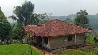 Woow..!!! Nyata Di Kampung Rumah Tengah Sawah Dan Pemandangan Yang Indah Bikin Orang Kota Rindu 😍😍