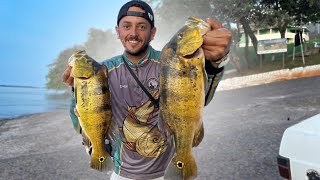 MUITO TUCUNARE E TRAIRA NO RIO BAHIA! rio parana porto rico