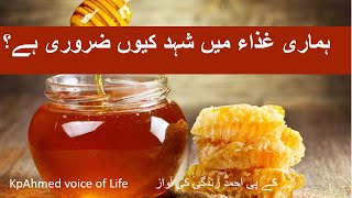 information about honey