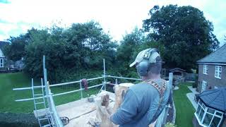 Day 1 - Time lapse - Carving a Cherry Tree with birds and animals