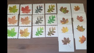 Visual discrimination activity - matching leaves