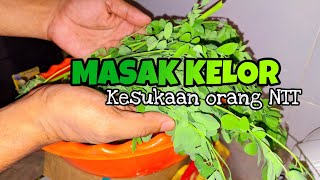 MASAK SAYUR KELOR KESUKAAN ORANG NTT