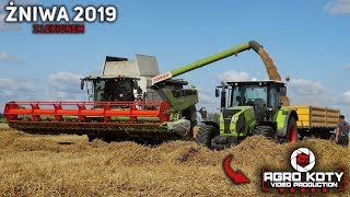 Zniwa na WIELKĄ skale 2019☆Nowy Lexion 6800☆z PwO☆3x Claas&John Deere☆Akcja na 4 kombajny☆