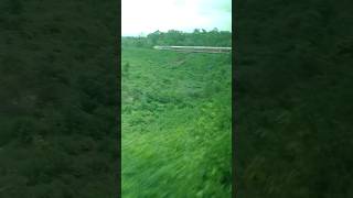 Chal chaiya chaiya #love #train #travel #nature #srk #bollywoodsongs #youtubeshorts