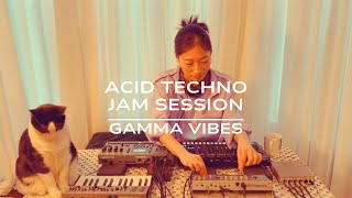 Gamma Vibes - Live Acid Techno Jam Session