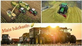 MAIS HÄCKSELN mit über 3300PS | 6x JOHN DEERE, 3x FENDT Vario, KRONE BIG X 650, ... | Maisernte 2018