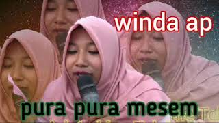 Pura pura mesem voc:winda