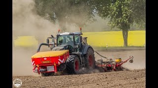 Mais legen // LU : Matthias Wende // Fendt Vario 826 BB , Väderstad Tempo F 8 / FH2200