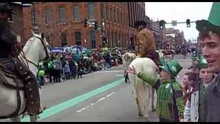 St Patty's Day Parade - 2013-03-16 - Horses and Cows with Horns - Denver CO Colorado