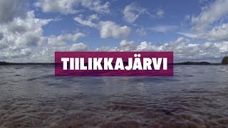 39 - Yön yli retki Tiilikkajärvellä, kesä 2015