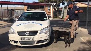 New K9 cops wow media