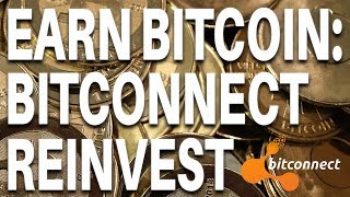 Investing in bitcoin for beginners - Bitconnect Reinvest