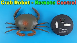 Crab Robot Remote Control | Unboxing TV