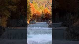 Der Rißbach im Sommer und Herbst (4K) #travel #nature #mountains