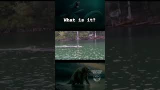 what is it? Giant Sea  Creature.  #bigfoot #ghost #new #newnew #lochnessmonster #shorts