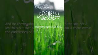 Surah Al-An'am Mishary bin Rashid AAlaafasy I Ayah 58-59