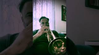 Jazz standard Trumpet practice - I’ve never been in love before