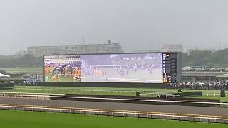 【観客目線】ヴィクトリアマイルレース 勝ち馬ソングライン