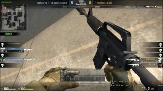 Counter Strike: Global Offensive - Cat the Hacker