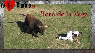 2️⃣0️⃣1️⃣7️⃣    Toro de La Vega   🏇🏃🏻🏇🏻🏃🏼🏃🏻🏇🏼🏃🏻‍♀️🏇🏾 🏃🏻🏃🏼     [ 😱  MIEDITO 😱 ]         YO♥️TAURINO