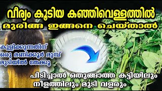 വീര്യംകൂടിയ കഞ്ഞിവെള്ളത്തിൽ ഇങ്ങനെ ചെയ്താൽ ഞെട്ടിക്കുന്ന റിസൾട്ട്‌ /poppy vlogs/muringa dye /hair