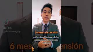 6 meses de pensión 💸 beneficio de ley.