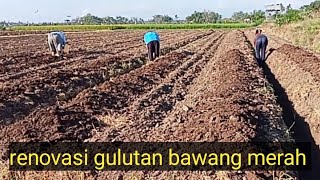 petani cerdas belajar dari kesalahannya langsung di rombak