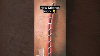 #satisfying #anatomy #stitching #stitches #stiyle #labtech