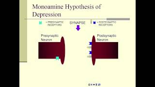 Depression and Antidepressants - Overview Part 1 of 4