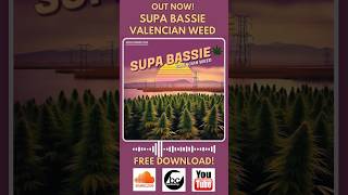 Valencian weed 🔥 Dubplate style! #reggaemusic #rubadubstyle #earlydancehall #freedownload