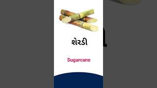 Sugarcane meaning in Gujarati - English dictionary