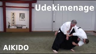 Aikido throw UDEKIMENAGE on morotedori (katate ryotedori), by Stefan Stenudd