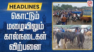 கொட்டும் மழையிலும் கால்நடைகள் விற்பனை | Salem | M Nadu News