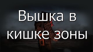 ВЫШКА в КИШКЕ ЗОНЫ STALCRAFT