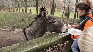 Creature di Monte Marenzo e dintorni