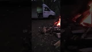 vanlife fire dog chilling! #shorts #instagram #reels #youtubeshorts #vanlife #tiktok #ktm #dirtbike